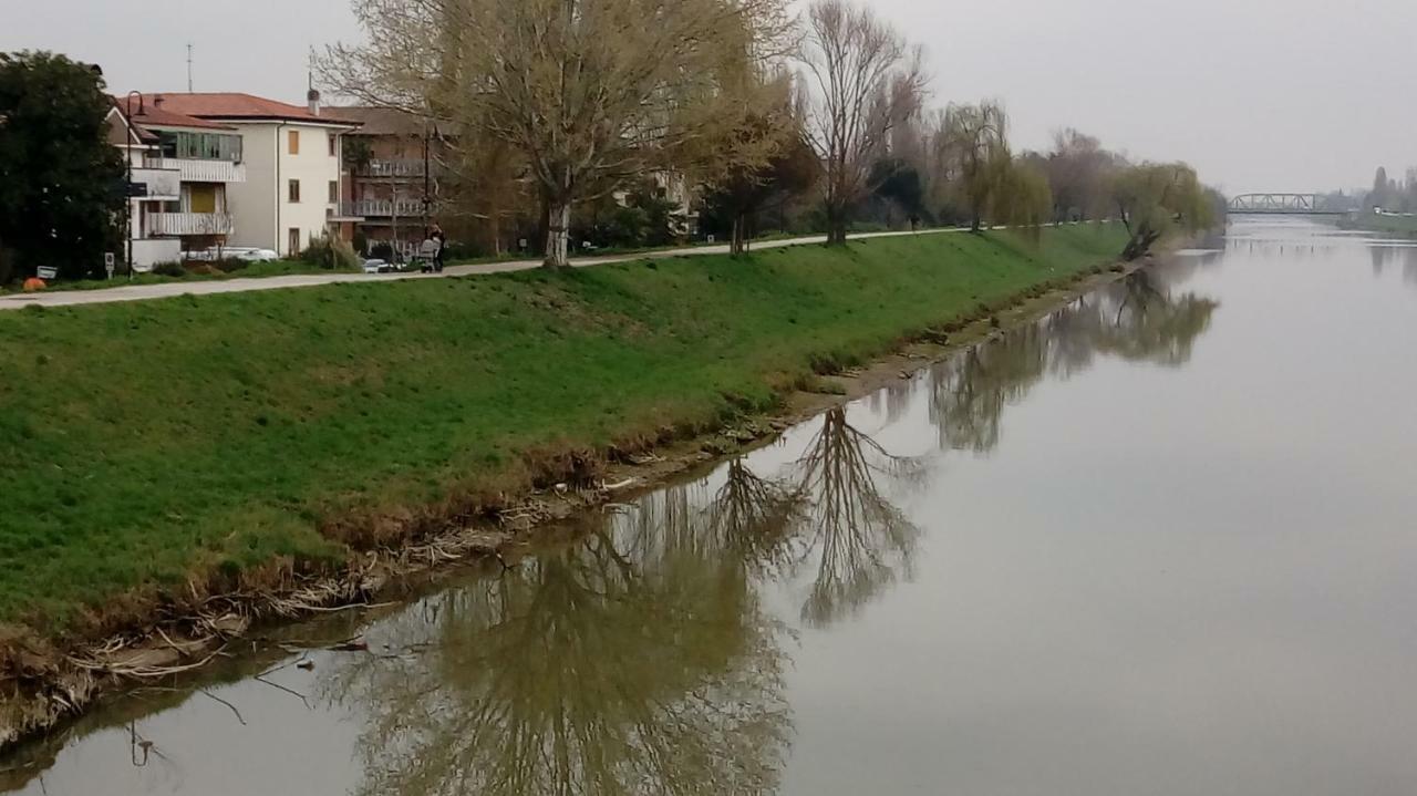 Vicino Al Prato Della Valle Intero Appartamento Parcheggio Facile Di Fronte Padova Dış mekan fotoğraf